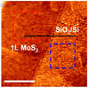 mos2 silver interface