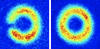 atom circuit