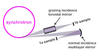 Beamline 1