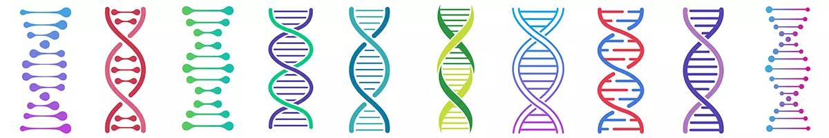 a banner with colorful renderings of DNA strands
