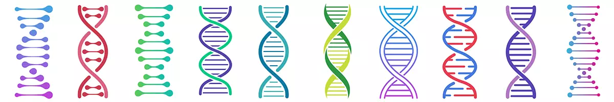 a banner with colorful renderings of DNA strands