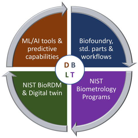 A circle divided into quadrants representing the four parts of the Design Test Build Learn DBTL cycle central to Engineering Biology and Synthetic Biology.  NIST contributions are for Design, AI ML, for Build biofoundries standard parts and workflows, for test NIST Biometrology programs and for Learn NIST data science including BioRDM and digital twin.